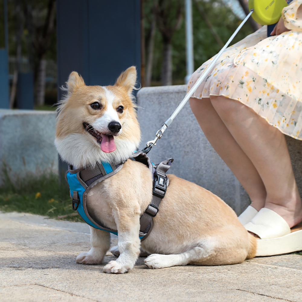 Vest-style Nylon Pet Harness Adjustable Reflective Medium & Large Dog Explosion-proof Dogs Harness with Thickened Control Handle