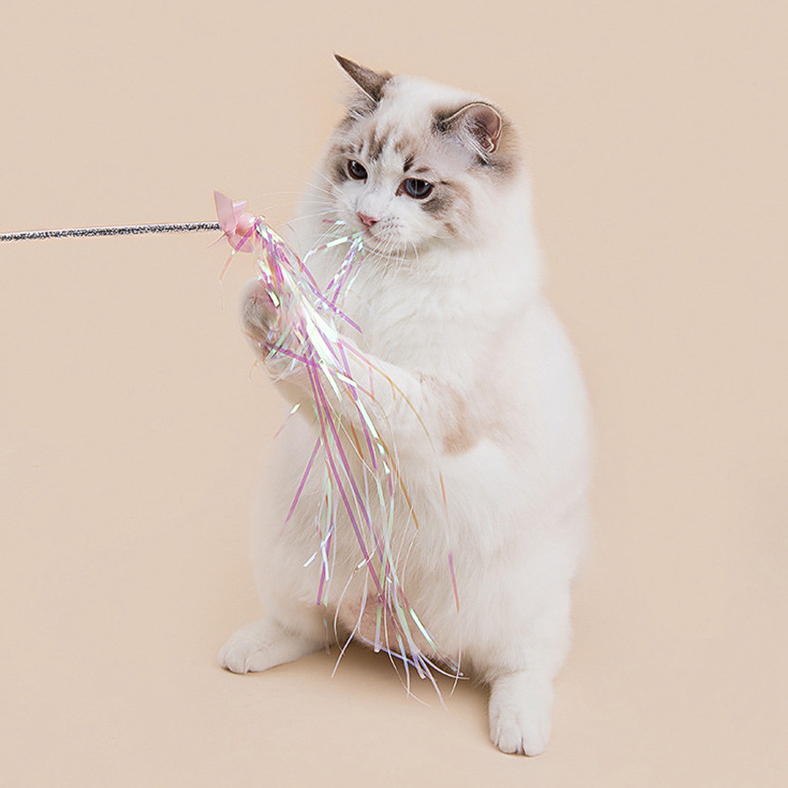 Funny Cat Stick Training Interaction Funny Cat Artifact Feather Wand Funny Cat Toy Blue Ring Paper
