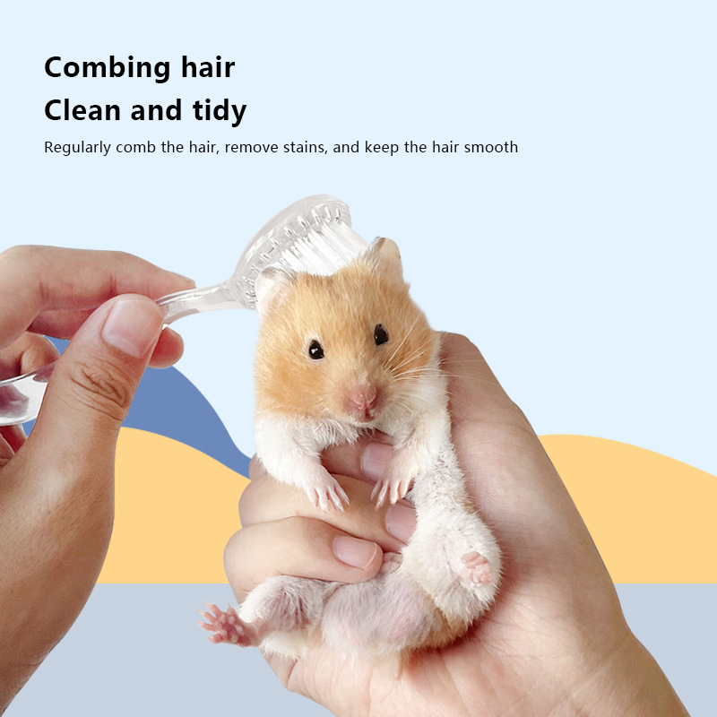 Pet Grooming Brush Guinea Pig Cleaning Tools Hedgehog Massage Bathing Combs Small Animals Cleaning And Beauty Tool Accessories