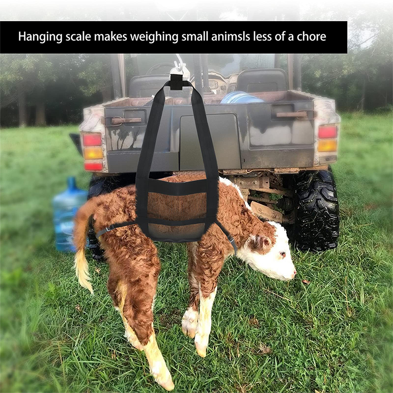 Foldable Hanging Weight Scale Sling With Adjustable Straps For Weighing Calves Lambs Goats Livestock Small Animals supplies