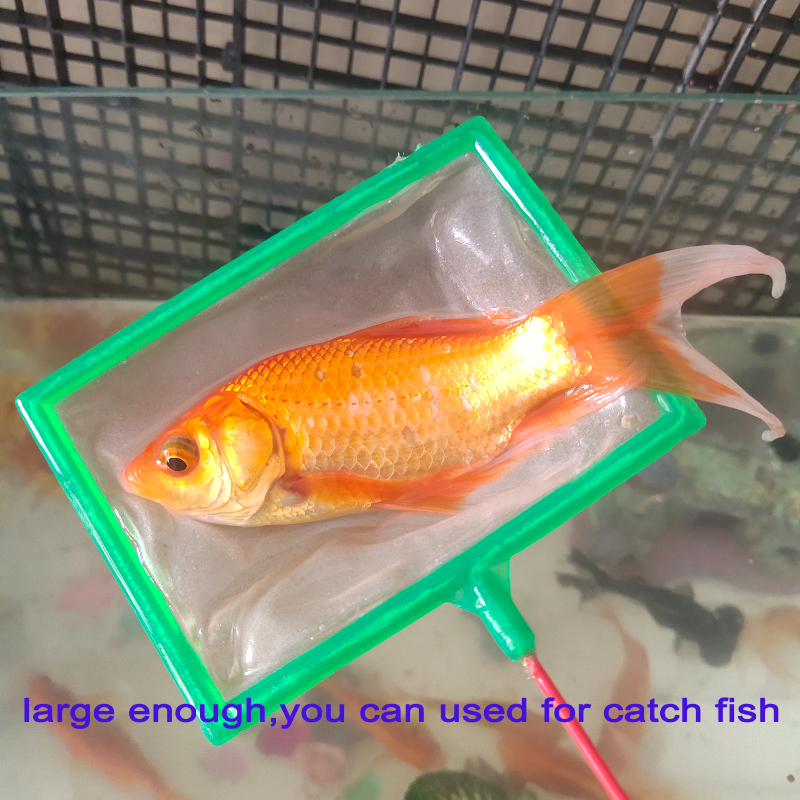 5 Pcs/set Mini Baby Brine Shrimp Net Fish Net Artemia Filter Special Fine Artemia Sieve for Brine Shrimp Hatchery