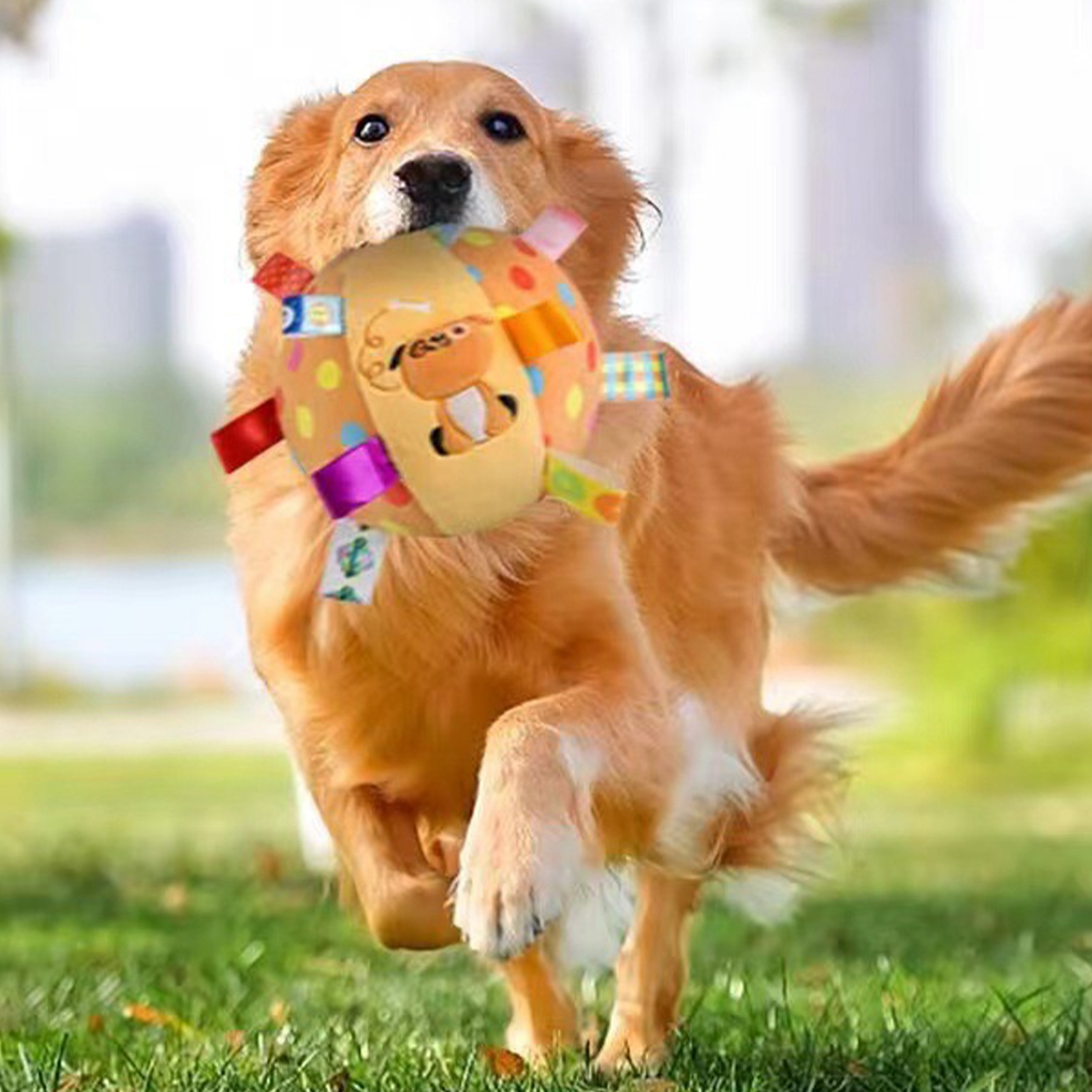 Interactive Dog Chew Ball Toy, Durable, Improved Health, Sound Inside, Fit for Home, Outdoor
