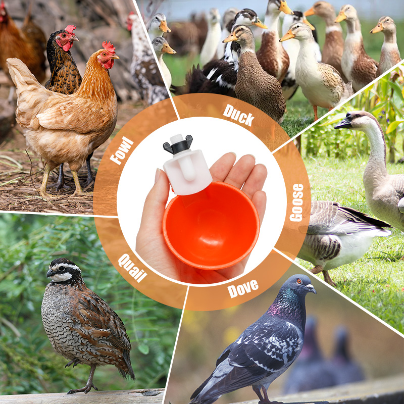 5 Pcs Chicken Drinker Automatic Poultry Drinker Automatic Chicken Drinkers Bowls For Chicken Duck Goose Birds Poultry Water Cup