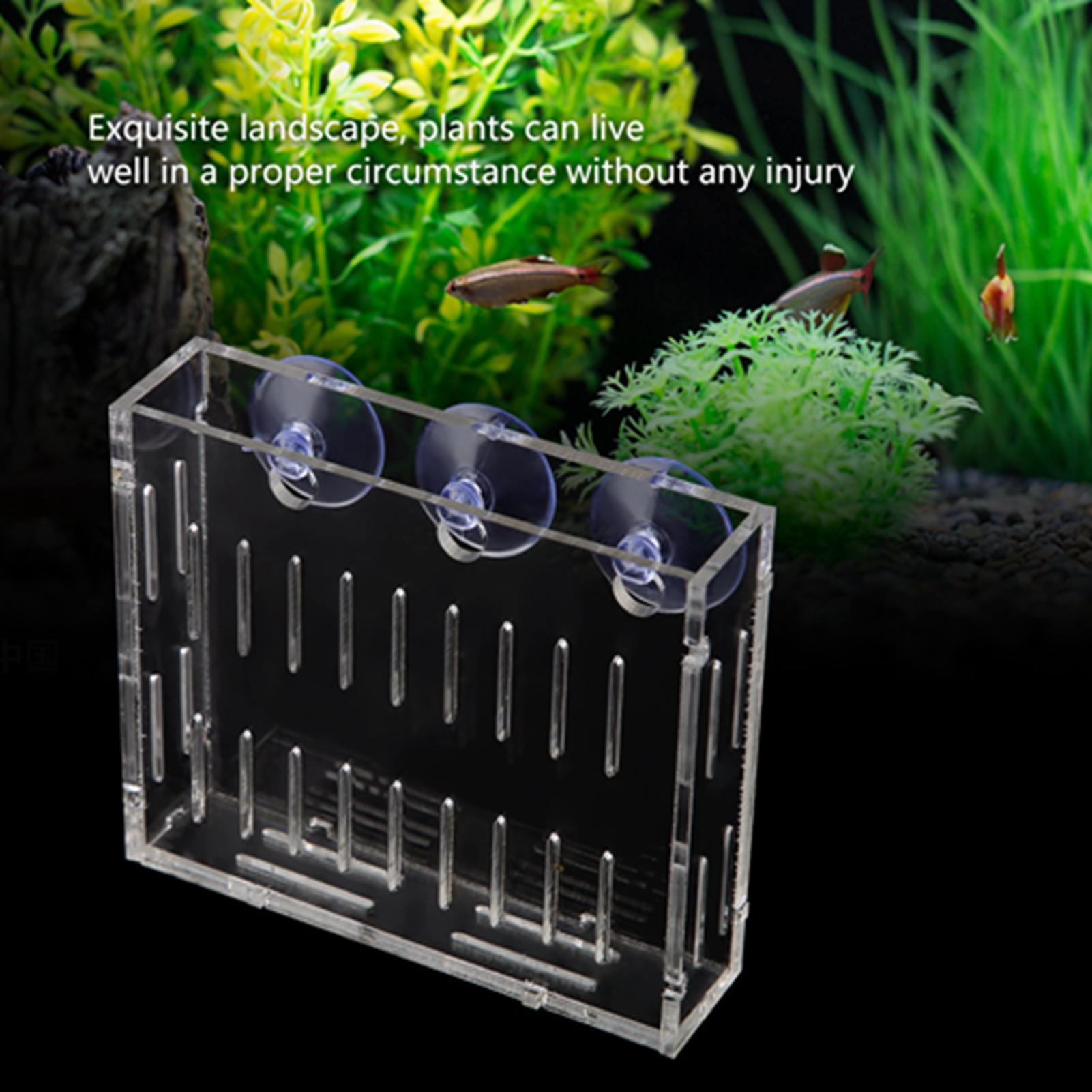 Aquarium Plant Water Grass Cup, Landscape Plants Cultivation Basin, W/ Suction Cups