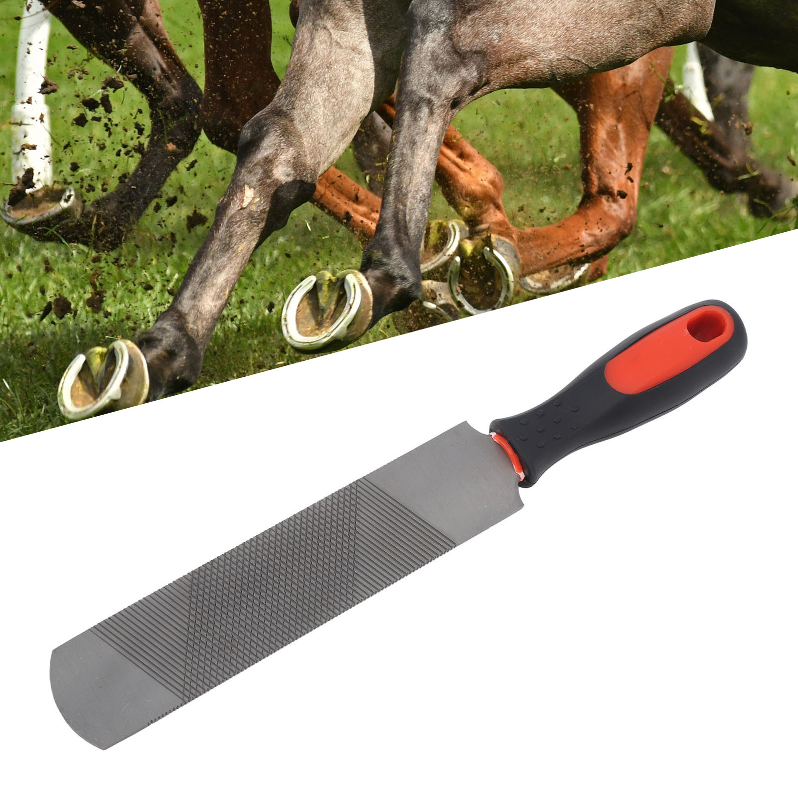 Horseshoe File with Flexible Handle for Horse, Hoof Rasp, Carbon Steel, Ergonomic Trimming Tool, 8 in