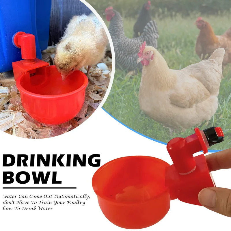 Chicken Drinking Cup Automatic Drinker Chicken Feeder Plastic Poultry Waterer Drinking Water Feeder for Chicks Duck Goose Quail