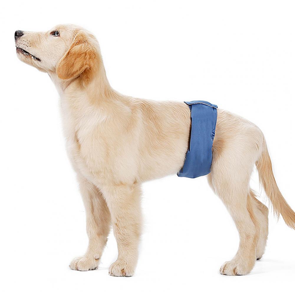 Durable Reusable Male Pet Dog Diaper Pants Simple Menstrual Diaper Pet Supplies XS-XXL Physiological Pants Hygienic Waterp