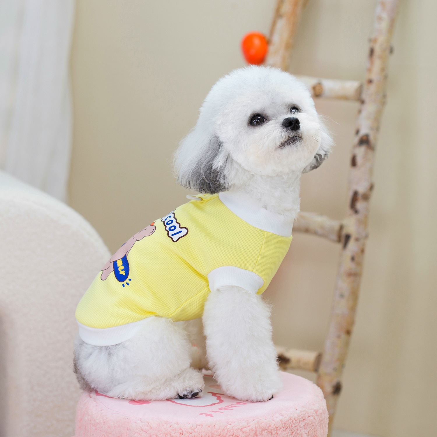 Autumn Custom Label Pet Cute Pattern Hot Stamping Dog Vest Teddy Breathable Clothes