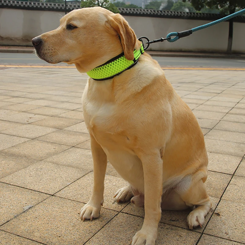 Heavy-Duty Adjustable Mesh Dog Collar-Ultra Soft Padding Comfortable Reflective Collars for Large, Medium, and Small Dog Breeds