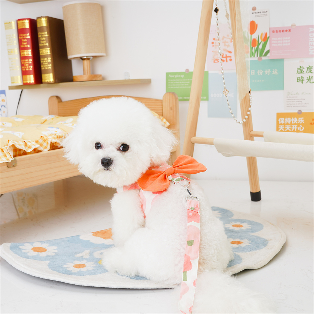 Pet Harness and Leash Set,Summer Pet Clothes with Matching Leash and Cute Bow Decoration for Cats and Puppy Outdoor Walking Dogs