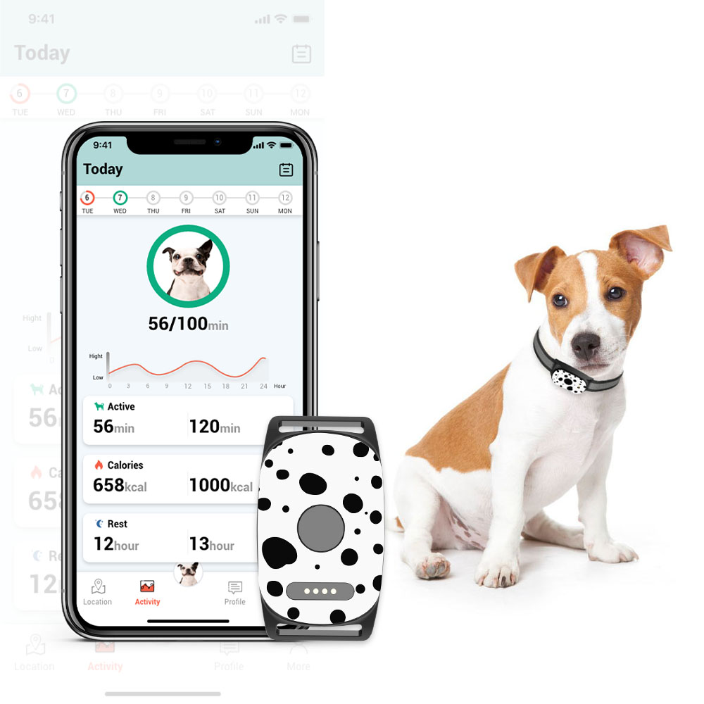 4G GPS Tracker for Dogs , 4G GPS Pet Tracker Collar, Mini GPS Pet Tracking Device