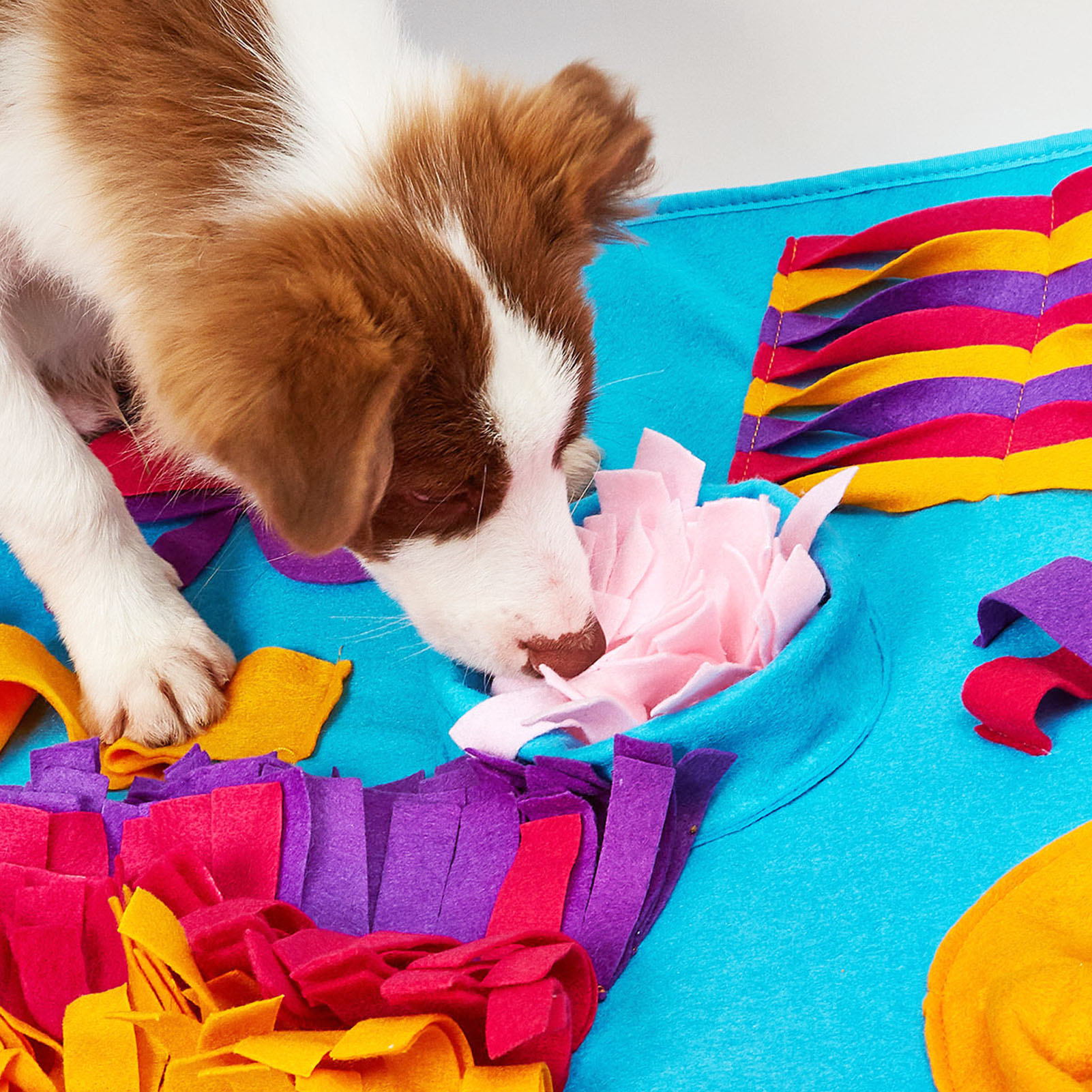 Washable Reusable Fabric Snuffle Mat for Dogs, Pet Slow Feeding Mat, Anxiety Reduction, Dog Foraging, Enrichment Toy, Training