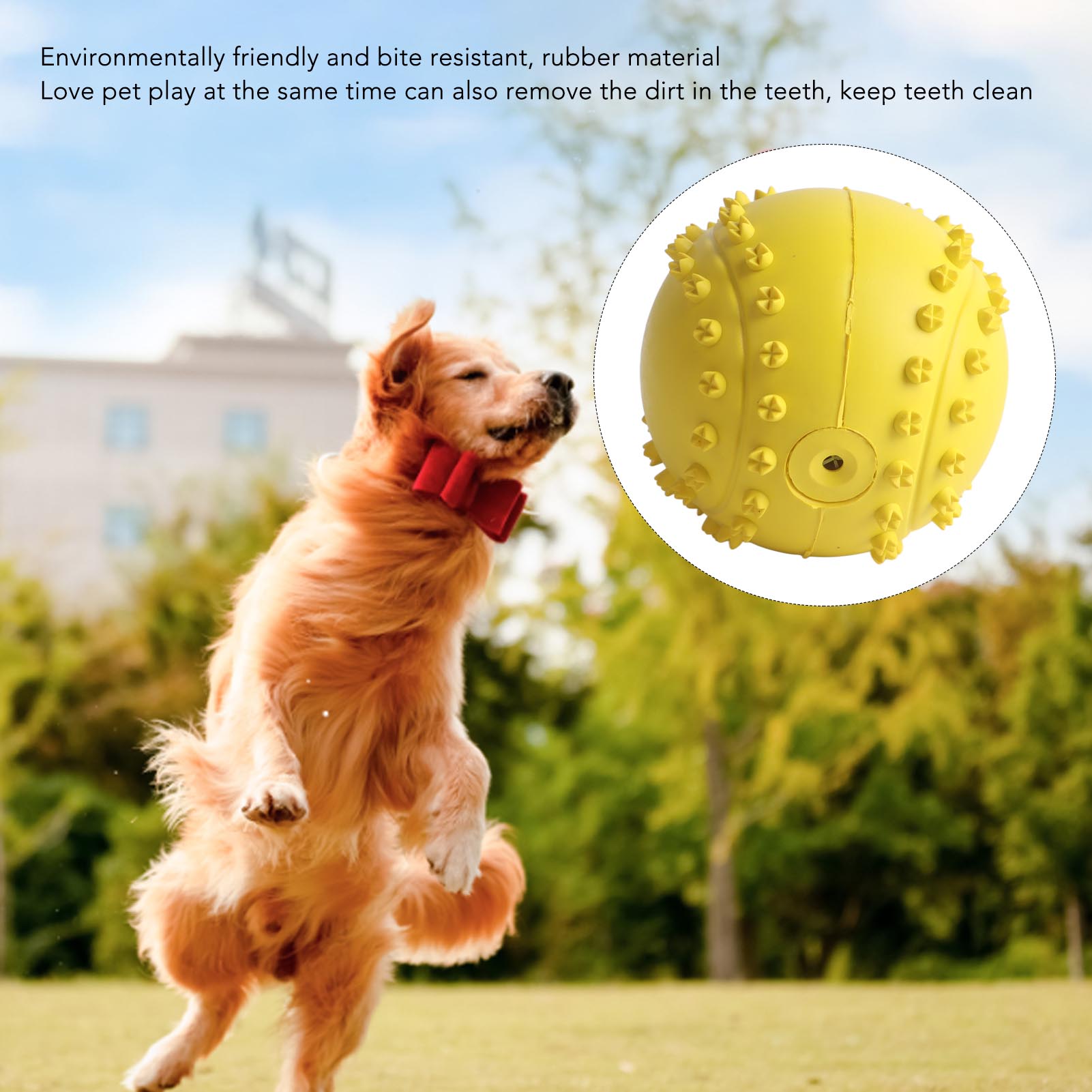 Pet Rubber Ball Toy Teeth Grinding Puzzle Safe Interactive Training Ball Toy For Small Medium Dogs Cats Rubber Baseball