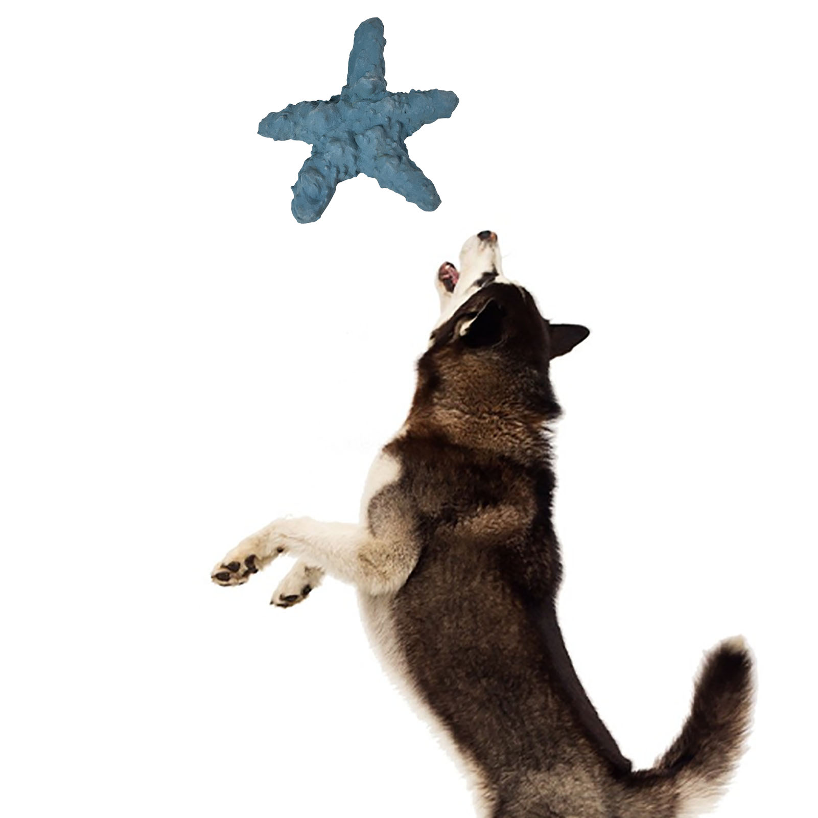 Dog Teething Doll Rubber Cute Starfish Style Soft Bright Colors Gum Massage Dog Chew Toy For Puppy Small Pet