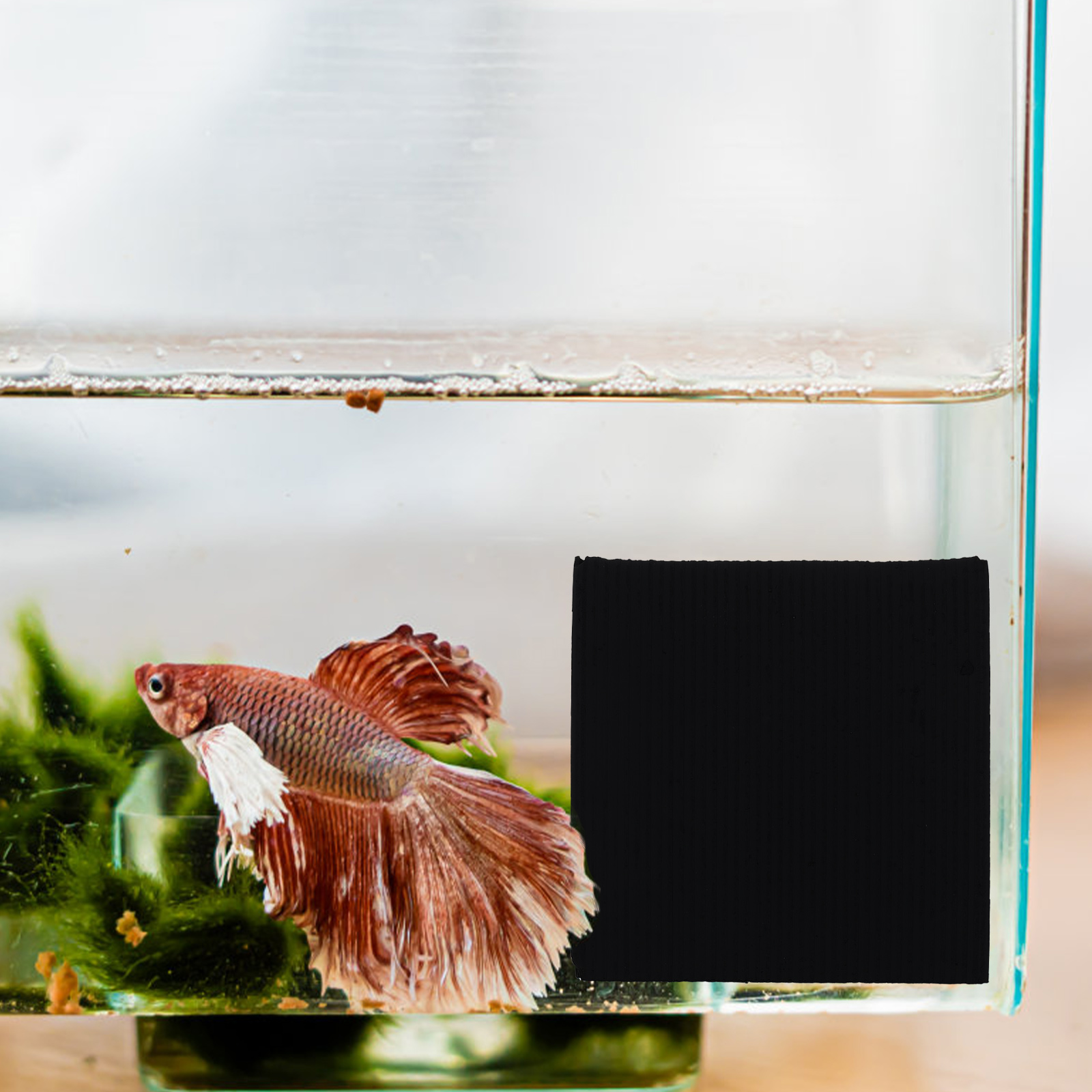 Fish Tank Water Purification Cube Aquarium Tool Purifier Active Household Quality Activated Carbon Cleaner Filter