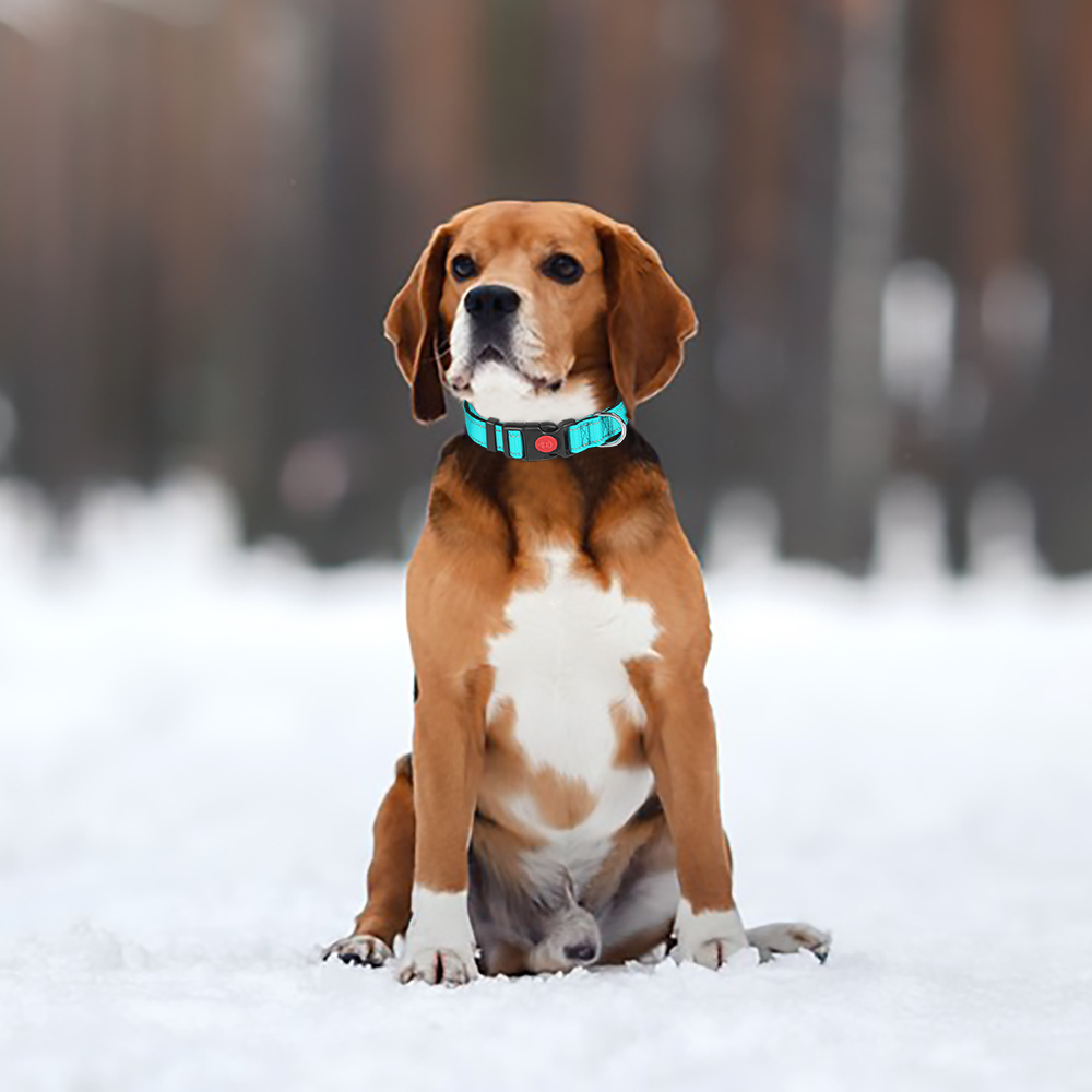 Reflective Nylon Dog Collar and Leash Set with Personalized Free Custom Dog Collar Engraved ID Tags Adjustable Dog Collars Tags