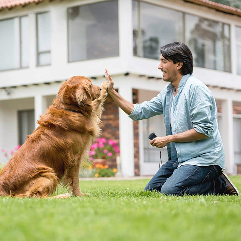 Outdoor Ultrasonic Dog Repeller Stops Aggressive Animal Attacks With LED Flashlight Pet Dog Anti Barking Training Device