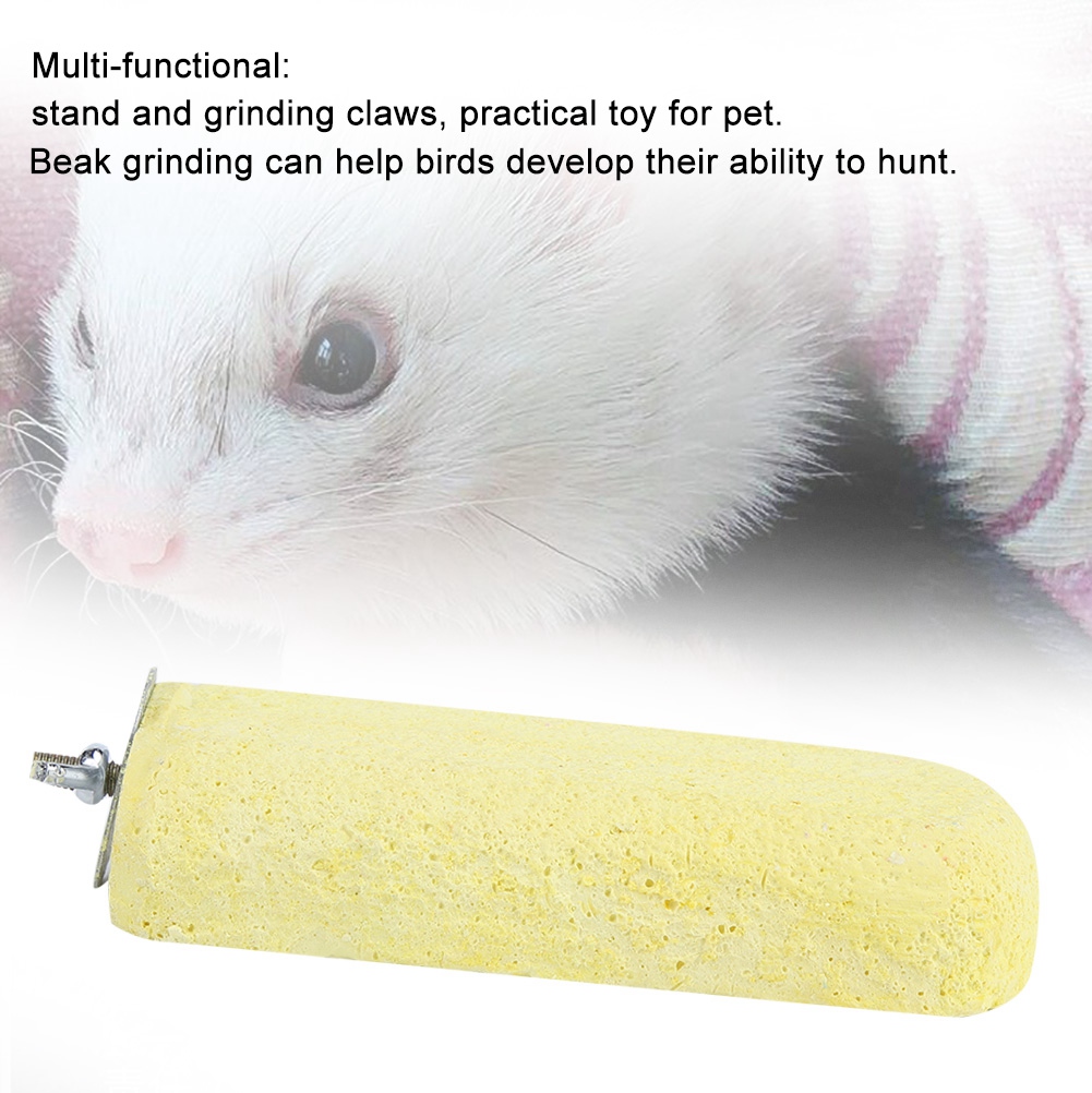 Totoro Squirrel Hamster Standing Platform Parrot Grinding Stone For Bird Accessories