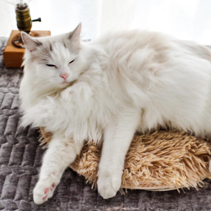 Dog Electric Blanket Warm Dog Bed Mat With USB Electric Pad Indoor Pet Good Thermal Insulation Effect Heating Pads for Cats Dogs