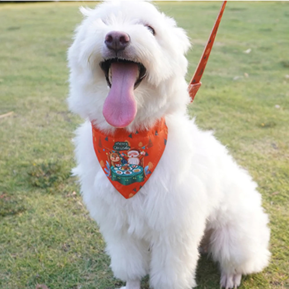 Halloween Christmas Dog Collar and Strap Set Fun Printed Pet Bandage for Small and Medium sized Dog Mascot Accessories 240914