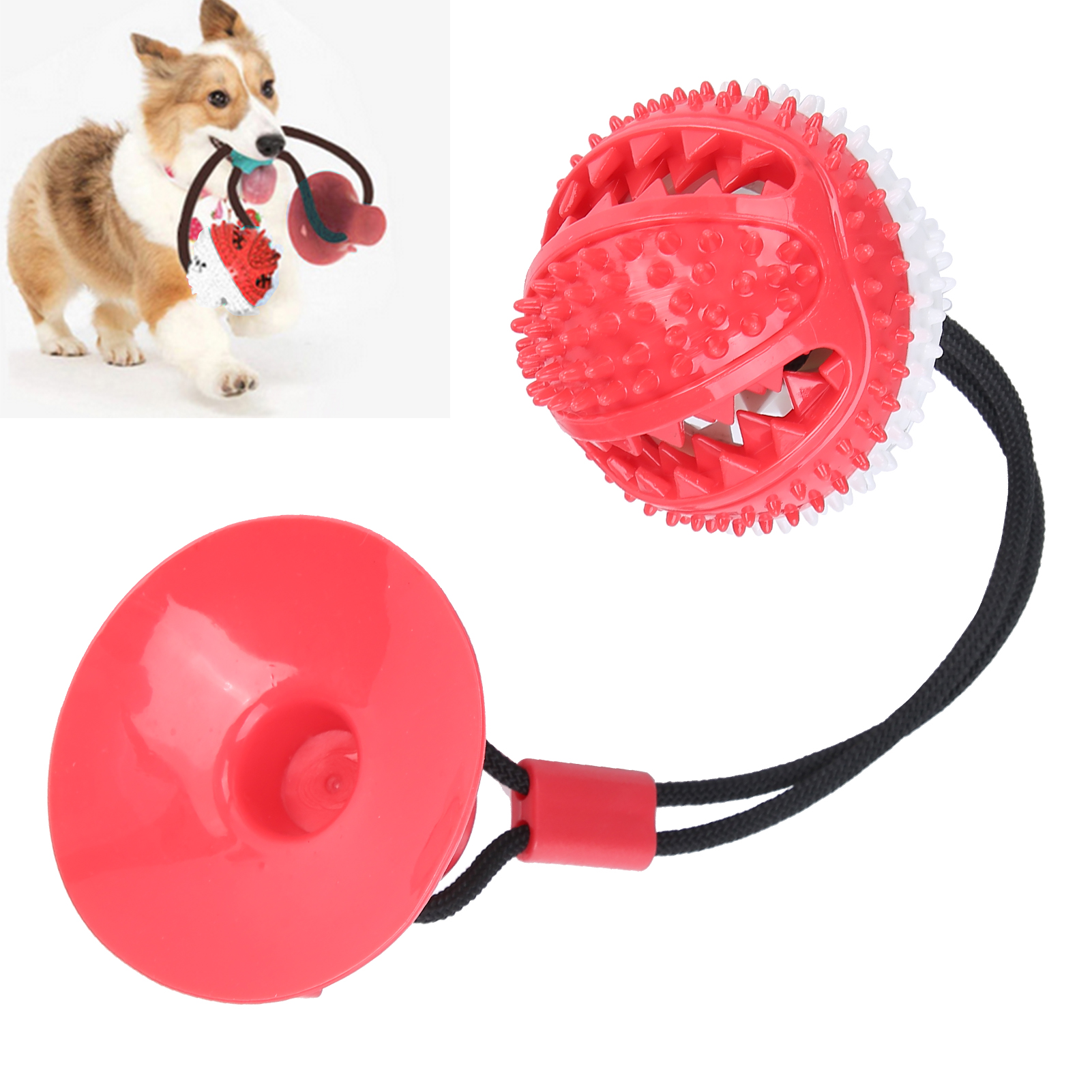 Dog Chew Suction Cup Ball Interactive Pet Molar Teeth Cleaning Food Dispensing Ball