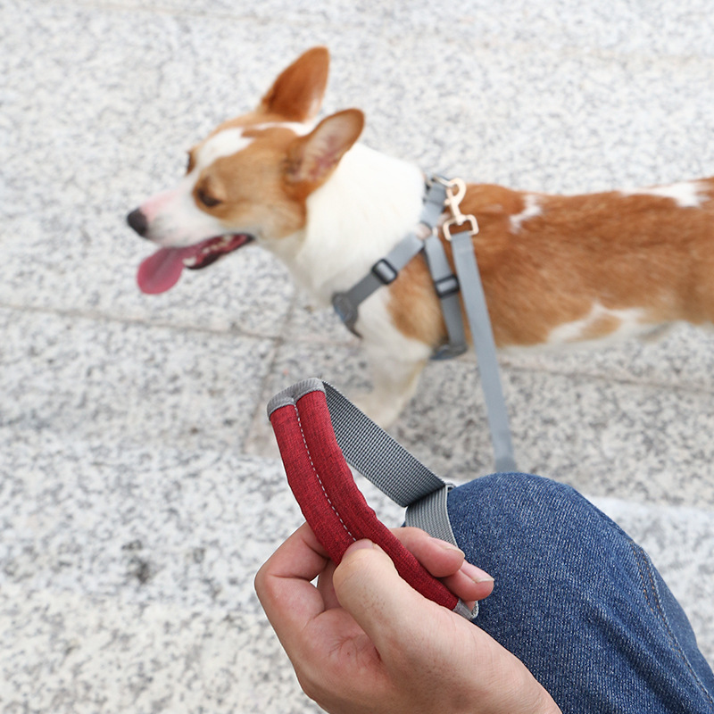 Nylon Pet Leash, Small and Medium-sized Dog Pet Supplies Leash Suitable for Outdoor Dog Walking and Training Pet Accessories