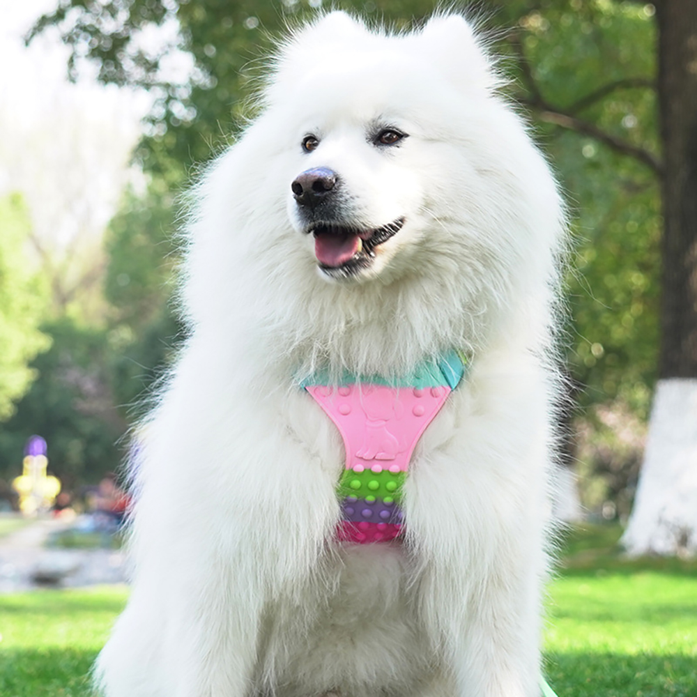 Rainbow Pet Harness and Leash Set,Vest Style Medium To Large Dogs Harness Comfortable Silicone Waterproof Pet Harness Adjustable