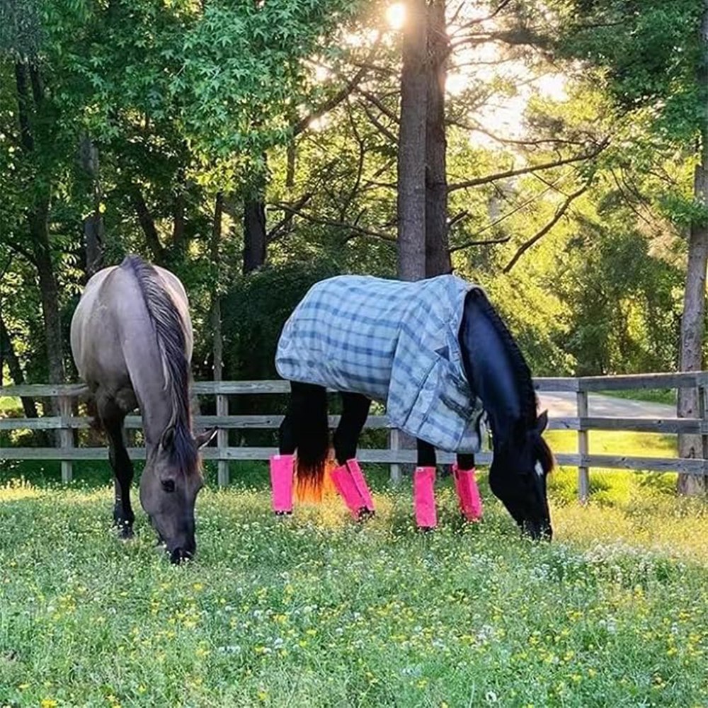 4PCS Horse Leg Strap Professional Equestrian Leg Guard Breathable Comfortable Horse Protective Equipment Horse Boots