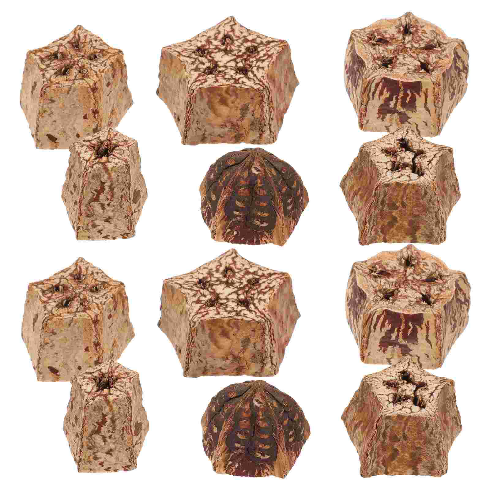 12 Pcs Bite Parrot Chewing Fruit Parakeet Cage Accessories Bird Dried Fruits Toys for Parrots