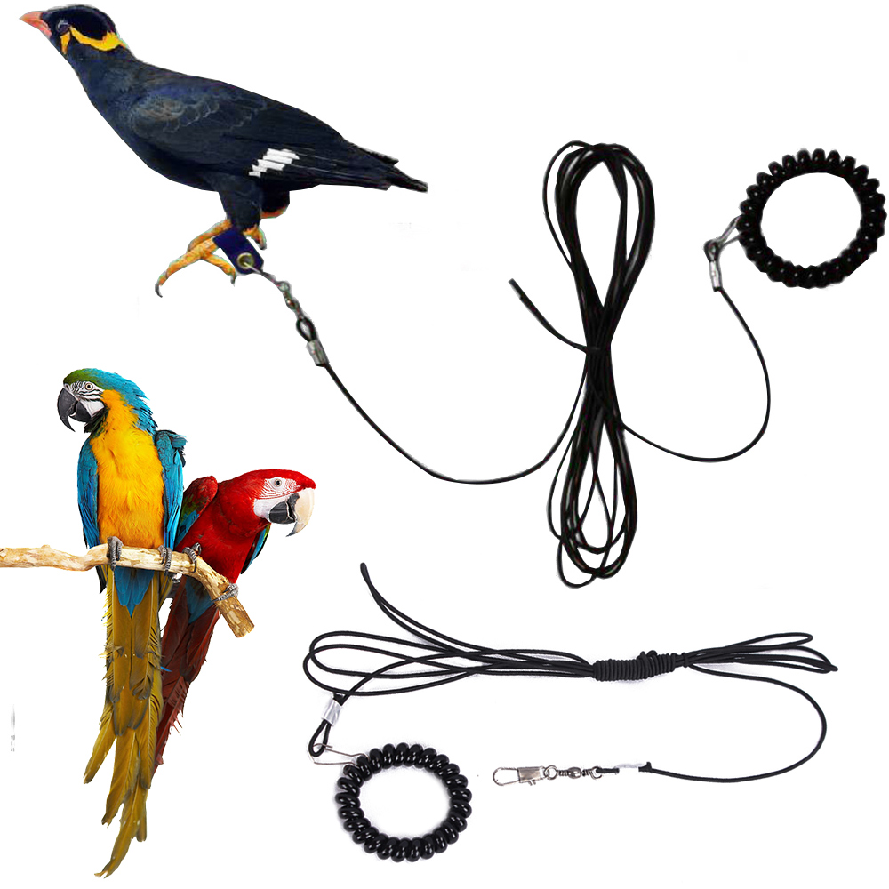 Pet Bird Outdoor Training Harness Rope Bird foot Chain Parrot Anti-flying Traction Straps Bird Feet Bracelet Alloy Foot Ring