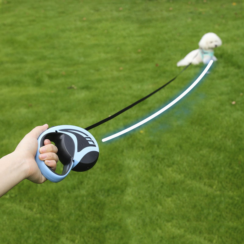 Pet Going Out Leash，automatic Retractable Leash Small & Medium Dog Walking Dog Leash One-button Brakefor Dog Training & Walking