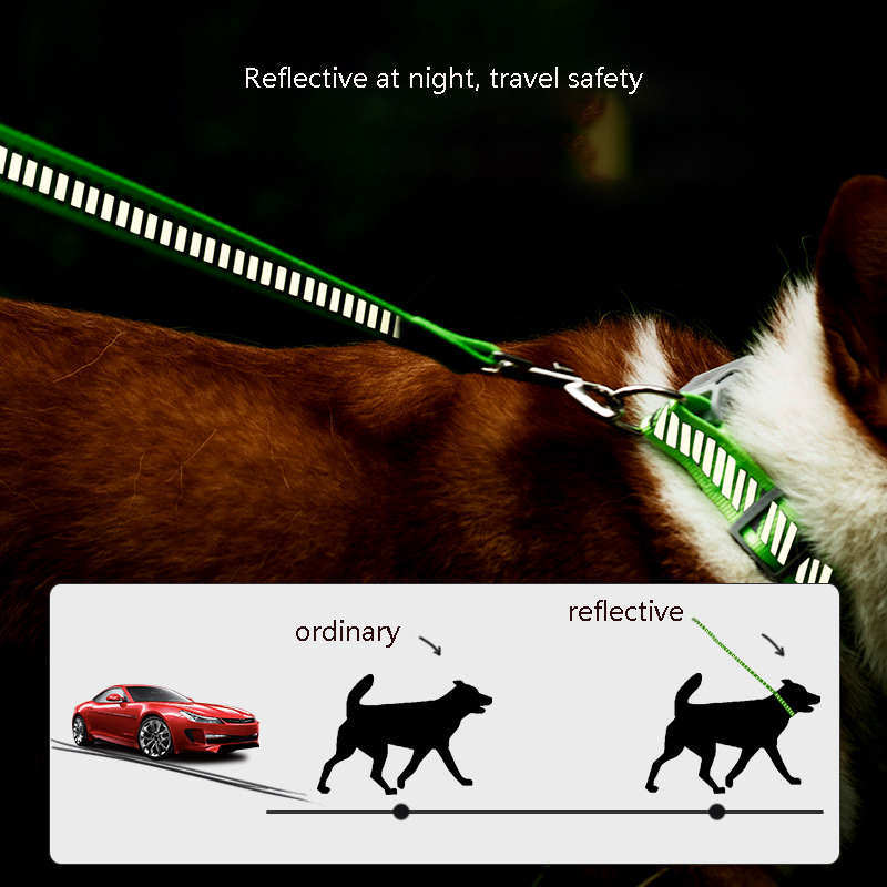 Nylon Reflective Pet Leash and Collars Set Multicolor Dog Leash Adjustable Dog Collar for Medium and Large Dogs Outdoor Training