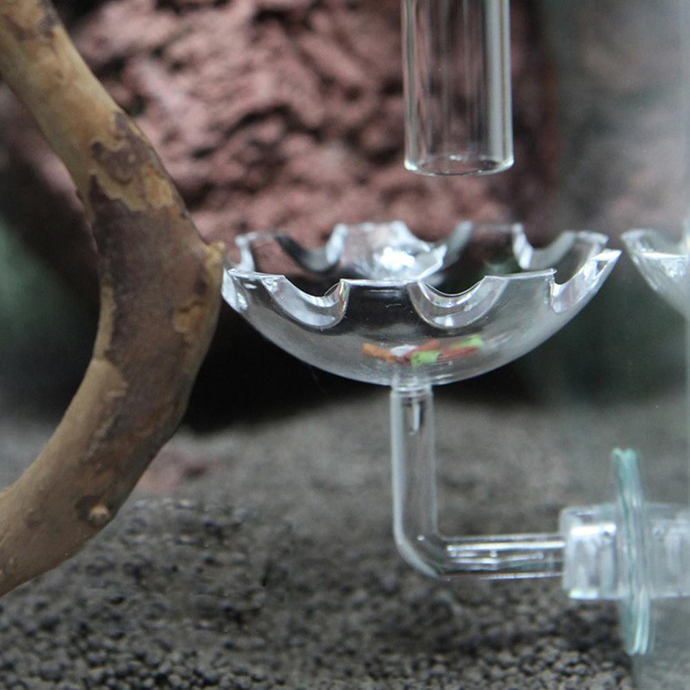 Shrimp Feeding Dish Shrimp Feed Dish Aquarium Fish Tank Shrimp Food Feeder Clear Glass Feeding Tube Dish Suction