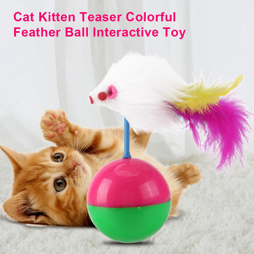 Pet Cat Scratching Ball Training Interactive Toy For Kitten Pet Cat Supplies Funny Play Feather Toy For Cats
