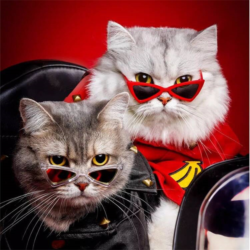 Cat Sunglasses Funny Pet Sunglasses Small Dog Sunglasses Classic Retro Circular Pomeranian Sunglasses Eyewear Photos Props Accessories Cosplay Glasses
