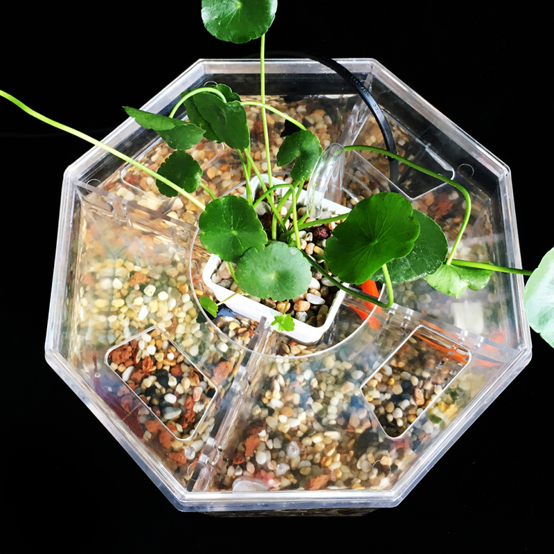 Mini multifunctional LED aquariums & accessories small ecological fish pond Aquariums equipments living room office