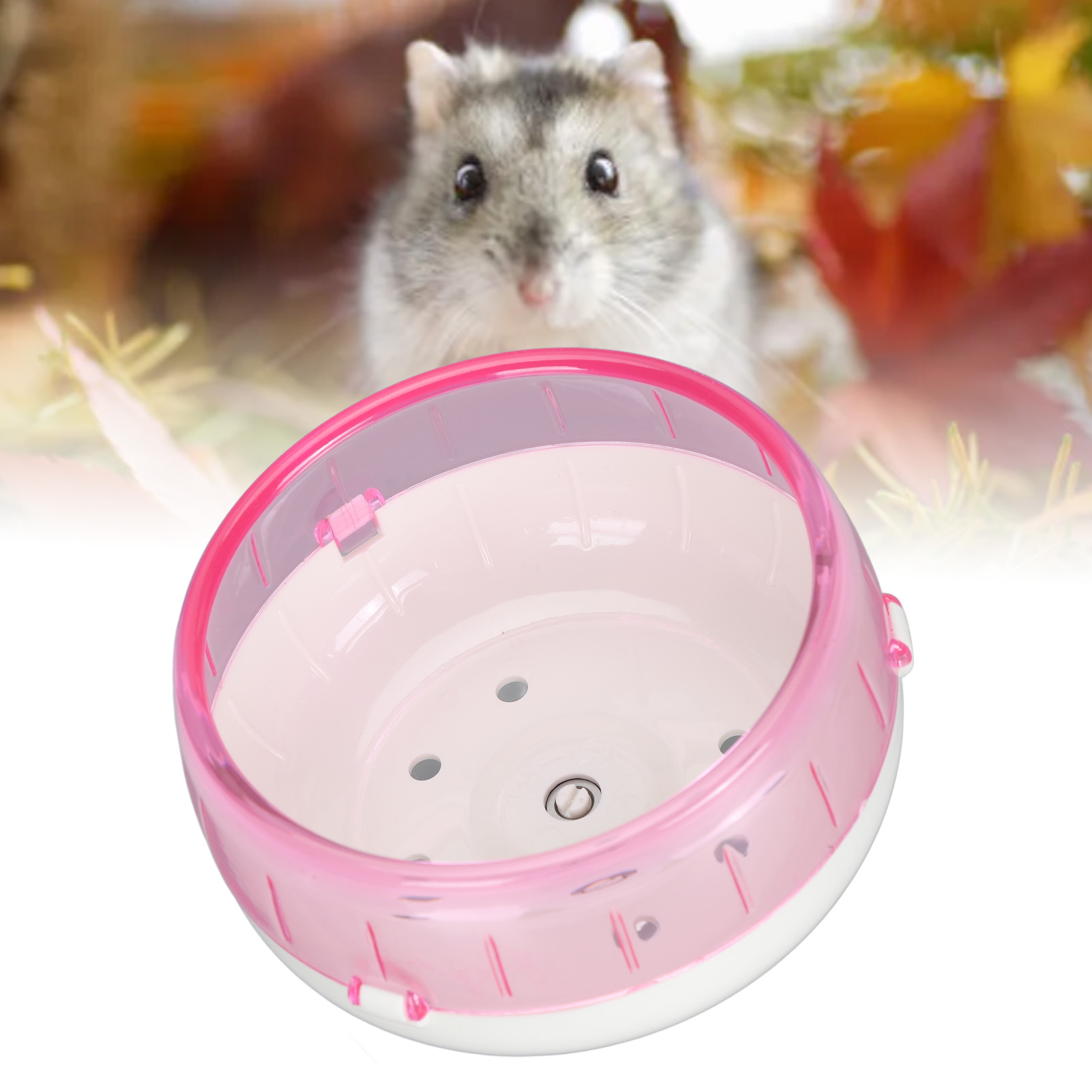 Running Wheel for Golden Bear Sugar Glider, Hamster Exercise Wheel, Interesting Small Pet