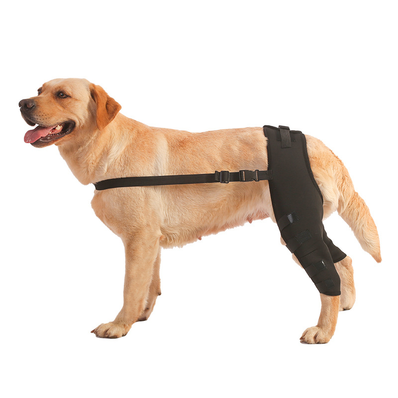 Dog Leg Brace Back Leg Support Pet Surgical Joint Wrap Protect Wounds Dogs Knee Protector Recovery Sleeve Pets Accessories