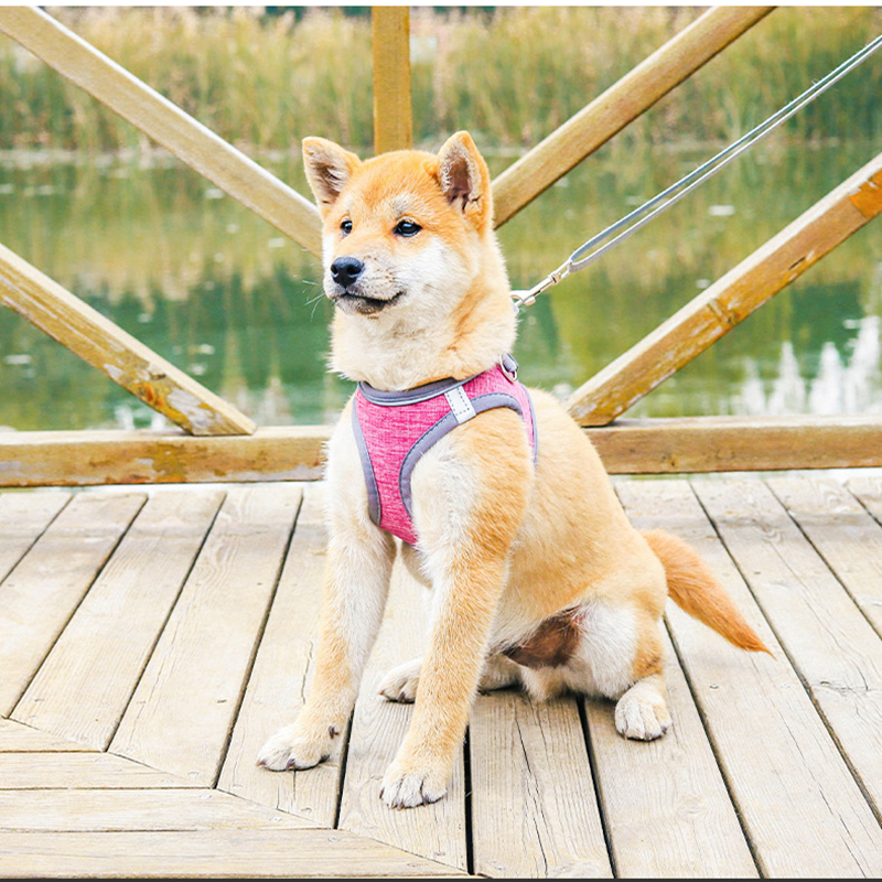 Small To Medium Dog Pet Harness Vest Cat Harness and Leash Set Adjustable Reflective Nubuck Harness for Dog Walking and Training