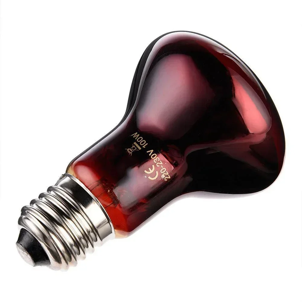 25/40/50/60/75/100W Amphibious Red Heating Lamp Infrared Glass Lamp Accessories Bulb Reptiles Snake Lizards Reptile Heating Lamp