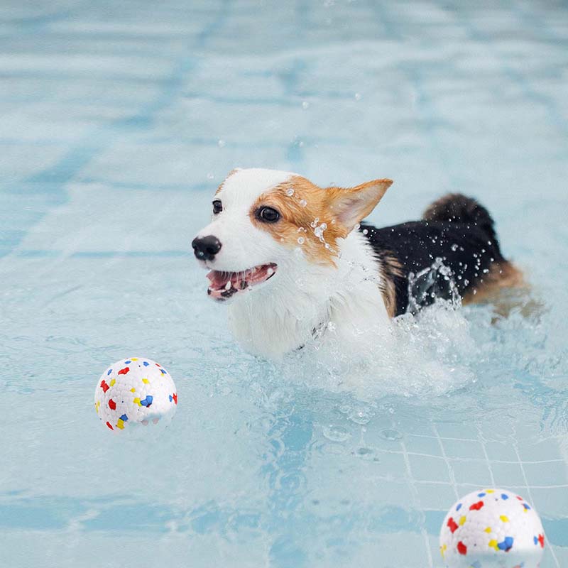 Pet Chew Ball Toys Highly Elastic Solid Foam Balls Outdoor Interactive Dog Toys Teething Bite Resistant Easy Clean Pet Supplies