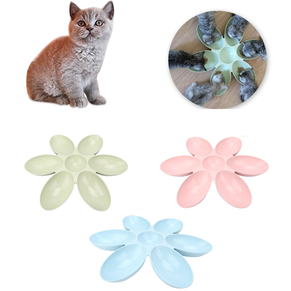 Six Cat Bowl Pet Water Food Feed Dog Bowls Pet Bowl With Inclination Stand Cats Feeder Feeding Bowl Kitten Supplies