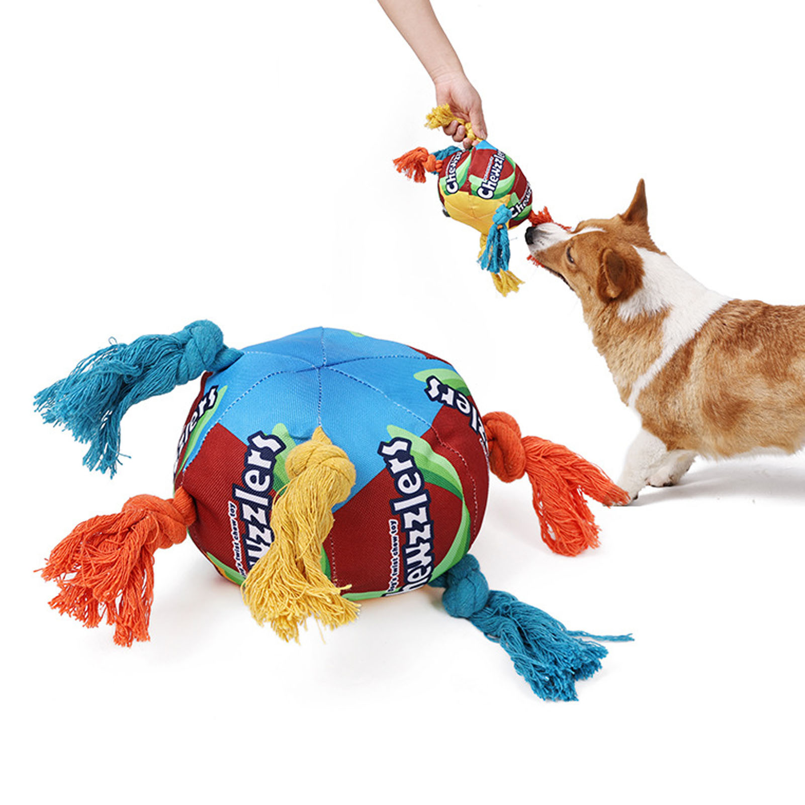 Dogs Sniffing Ball Fun Interactive Colorful Squeaky Bite Resistance Pet Toy Ball For Pets Dogs Cats