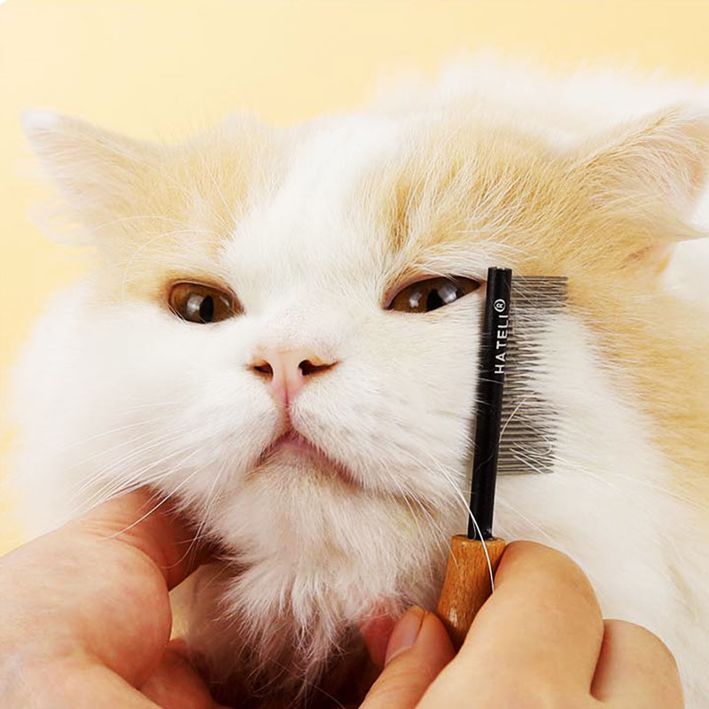 Pet Cat Comb Grooming Small Size Comb Barber Salon Grooming Tool For Shaggy Cat Dogs Pet Grooming High Quality Stainless Comb