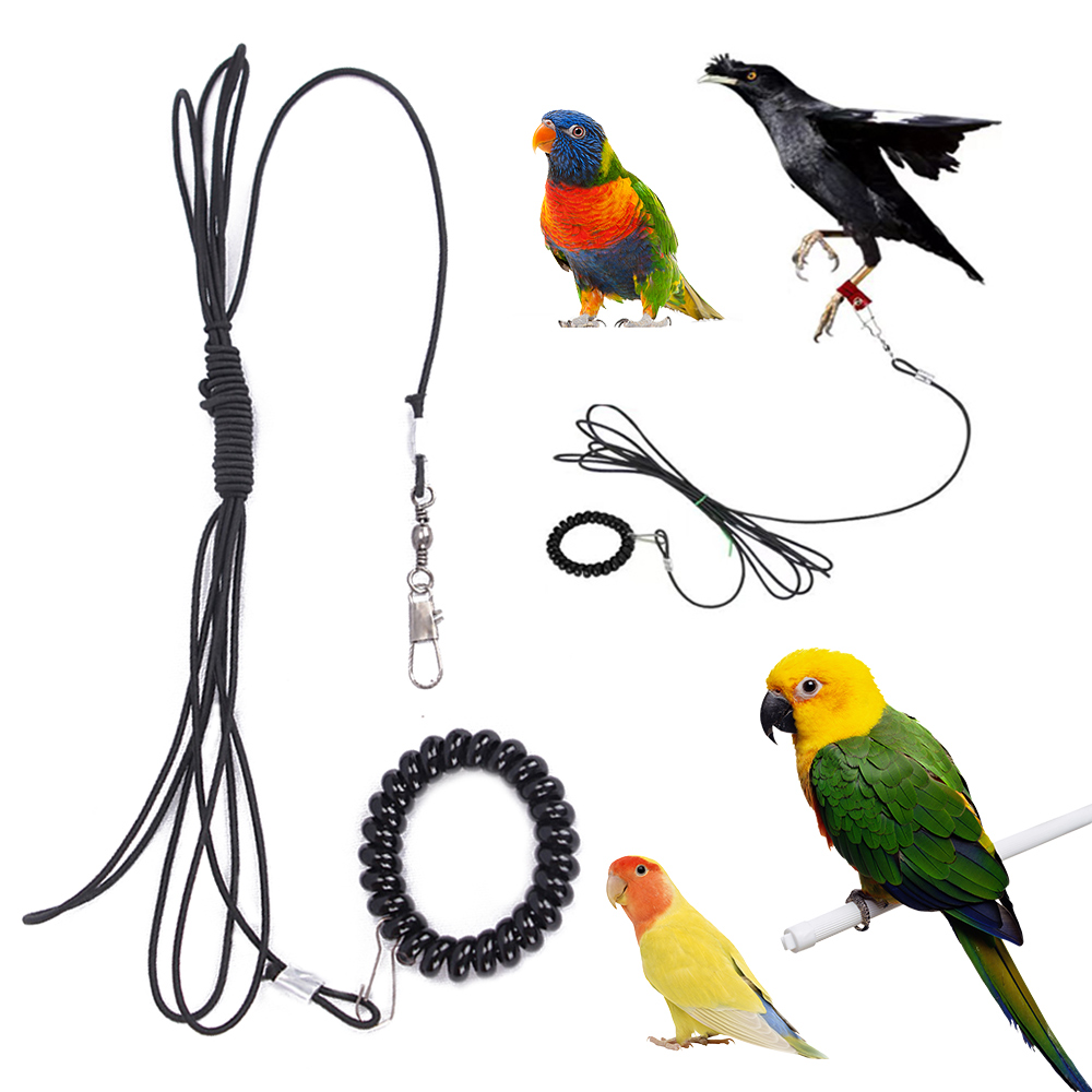 Pet Bird Outdoor Training Harness Rope Bird foot Chain Parrot Anti-flying Traction Straps Bird Feet Bracelet Alloy Foot Ring