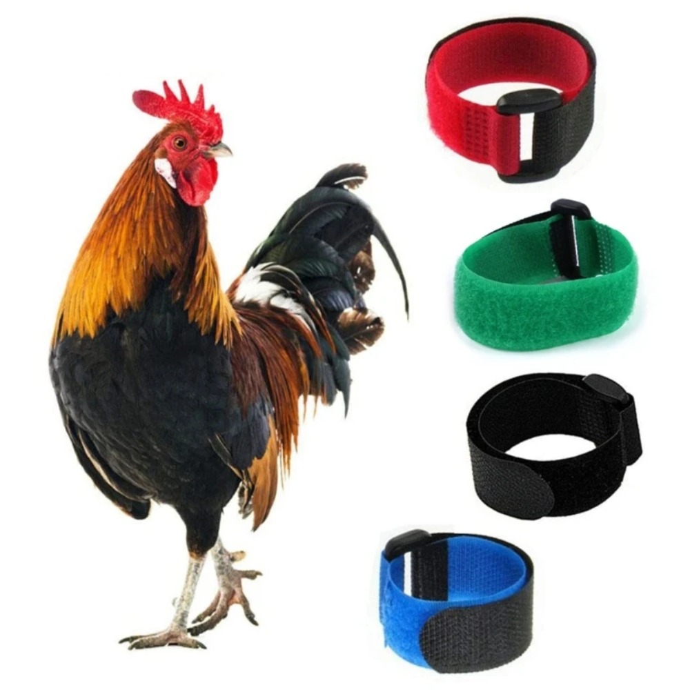 2 pcs New No Noise Rooster Neck Belt Anti-crowing Adjustable Nylon Anti Crow Collar Safe Poultry Collar