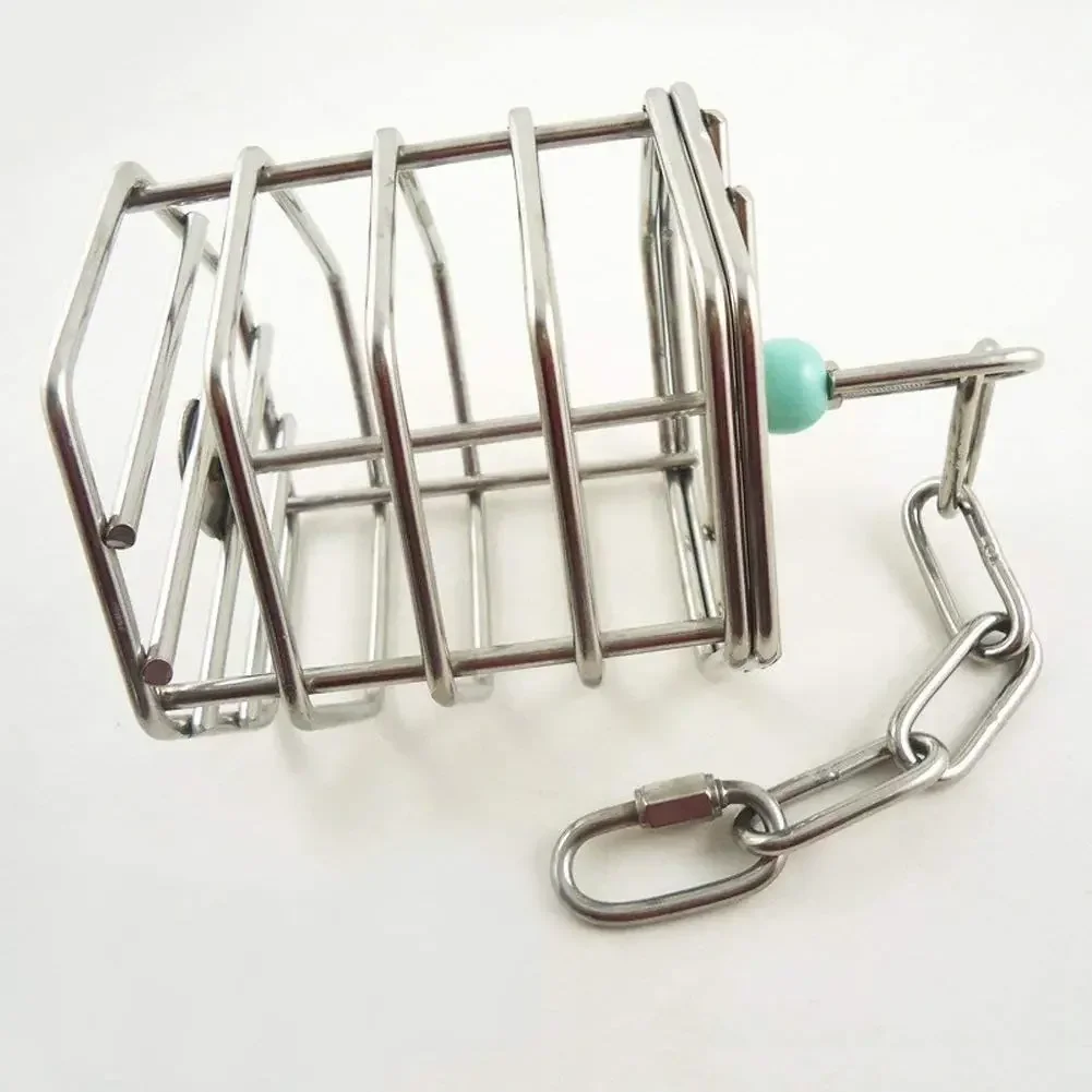 Stainless Steel Forager Puzzle Foraging Cage Fruit Blue Bird Toy Parrot Bite Toy Bird Accessories Parrot Toys Bird Toys