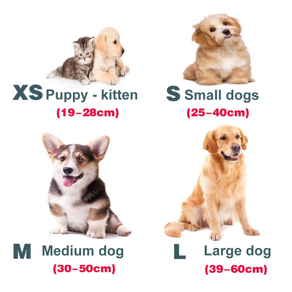 Custom Nylon Dog Collar Personalized Reflective Pet Collar with Leash Custom Name and Phone Tag for Large, Medium and Small Dogs