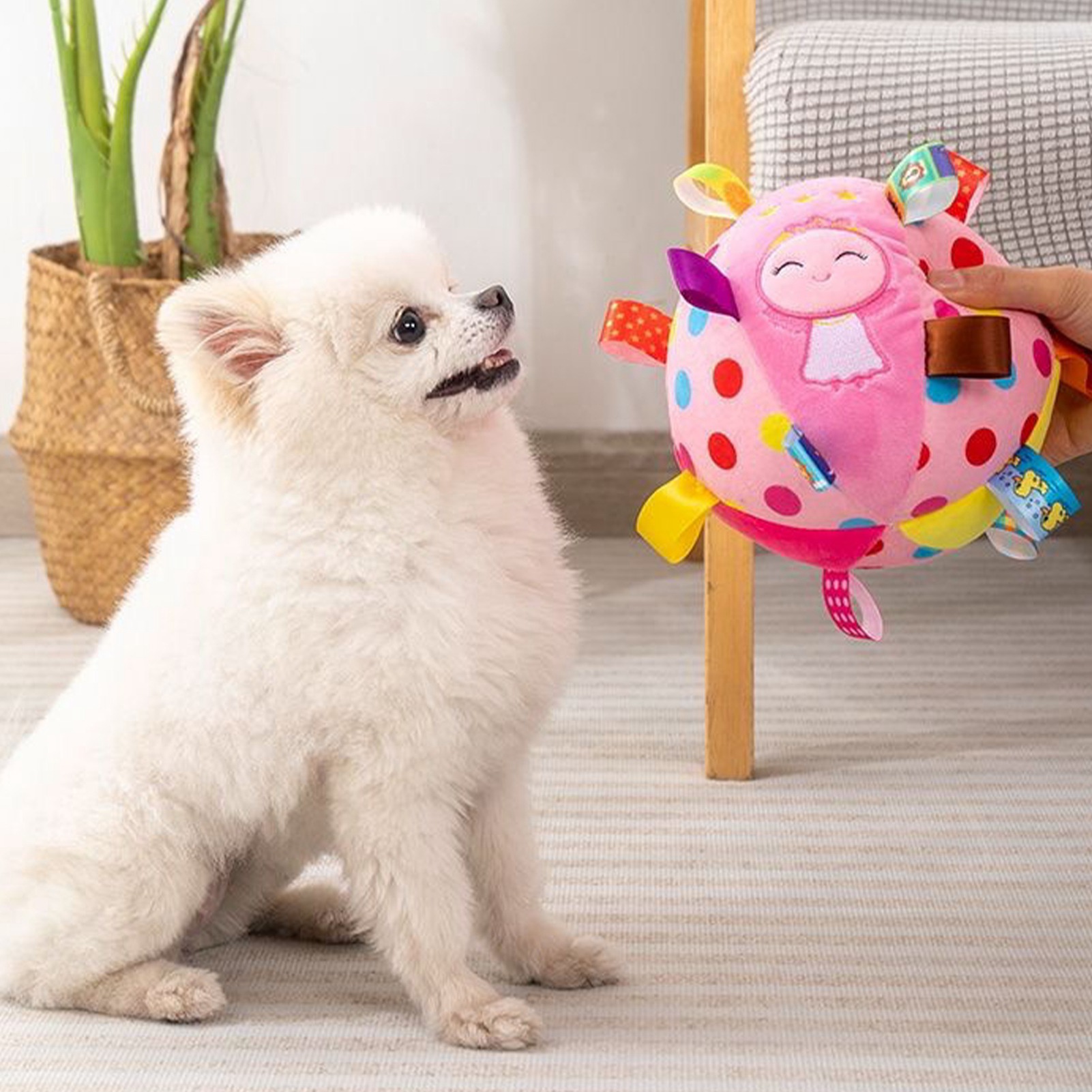 Interactive Dog Chew Ball Toy, Durable, Improved Health, Sound Inside, Fit for Home, Outdoor