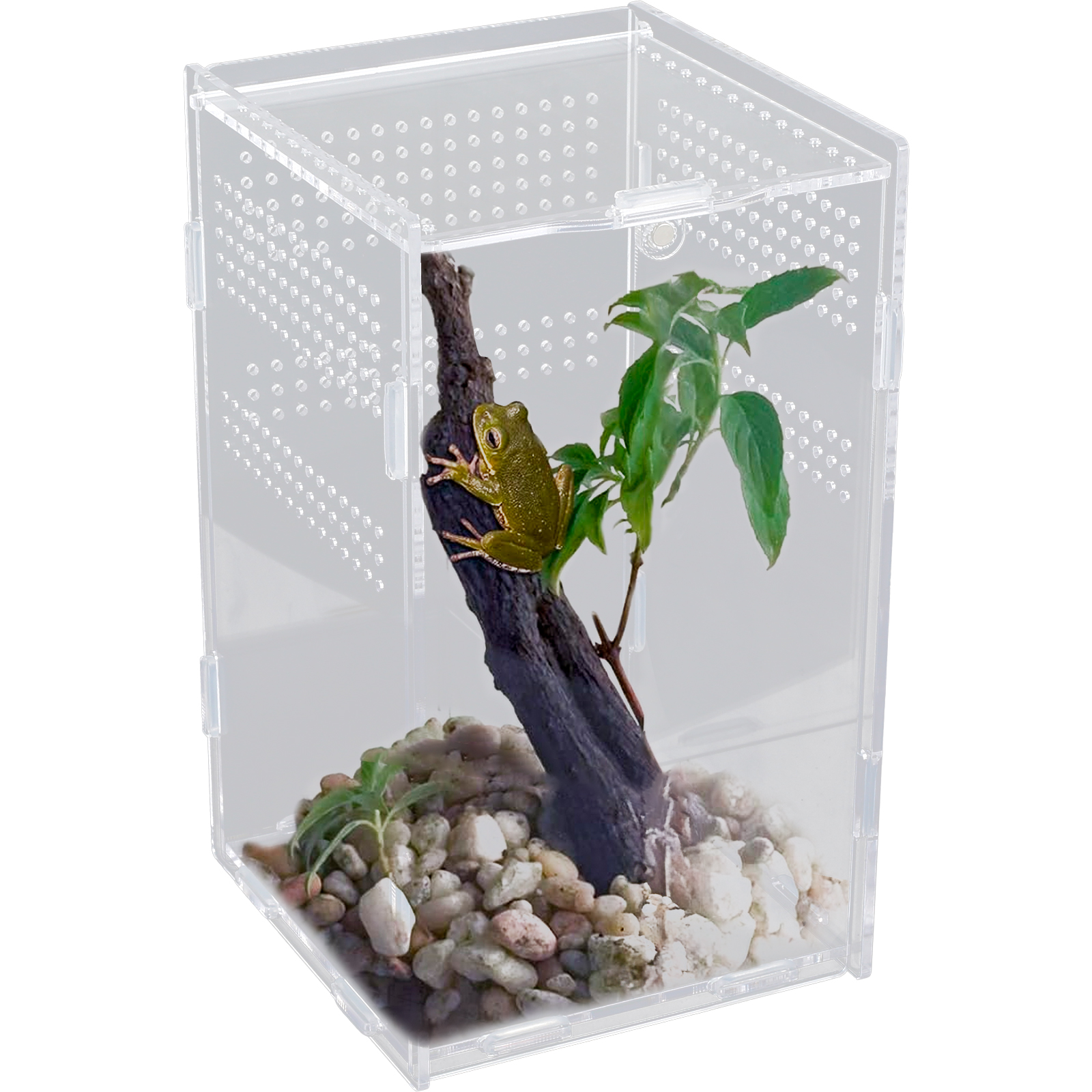 Terrarium Enclosure Transparent Acranged Climbing Pet Feeding Boxes Arboreal Boxes for Reptiles Breeding Invertebrates Habitat
